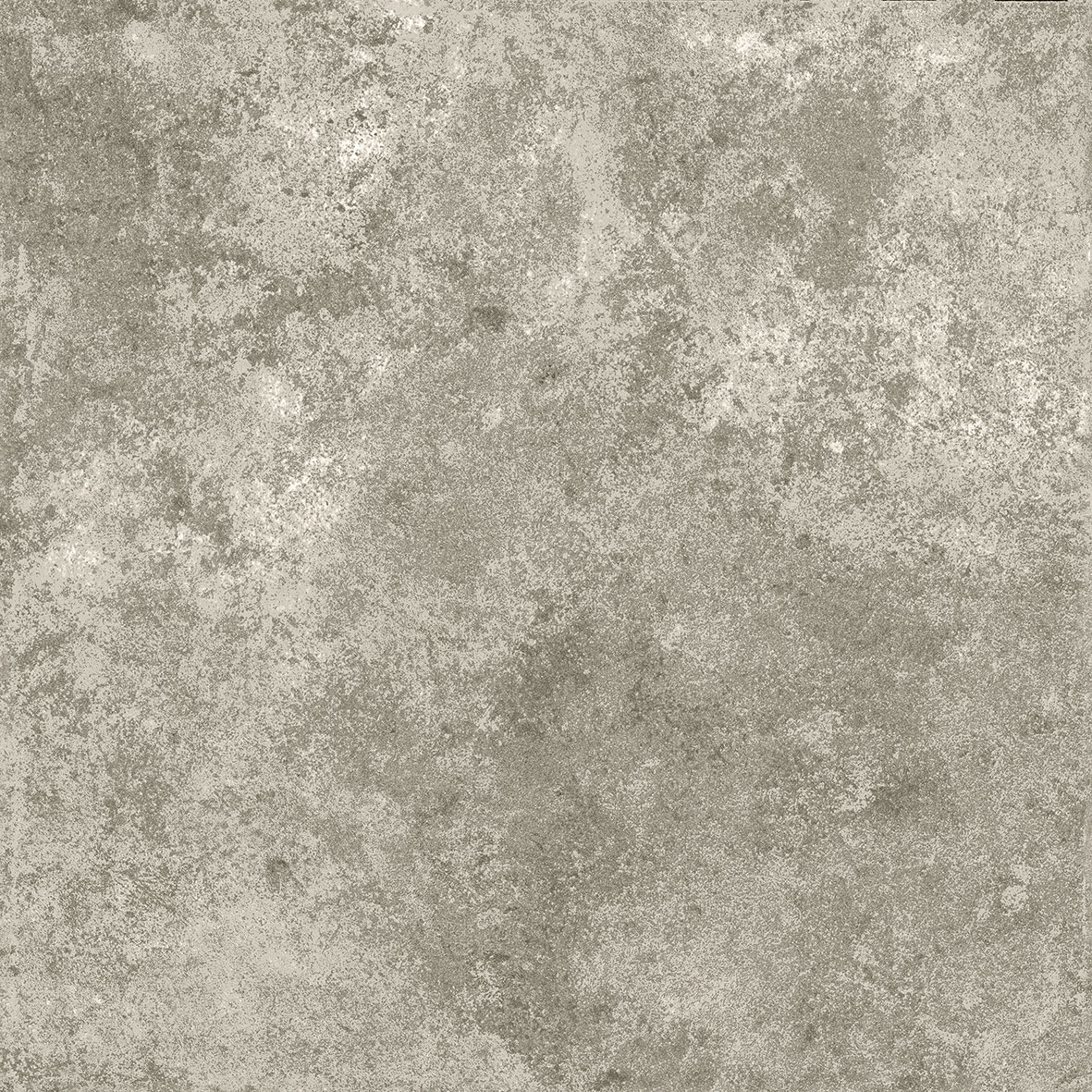 MORELLA-GRIS